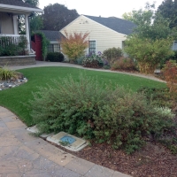 Synthetic Grass Snelling, California Lawn And Garden, Front Yard