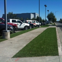 Synthetic Lawn Merced, California Lawn And Garden, Commercial Landscape