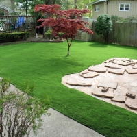 Synthetic Lawn South Dos Palos, California Landscape Ideas, Backyard Ideas