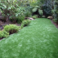 Synthetic Lawn Tuttle, California Design Ideas, Backyard Landscaping