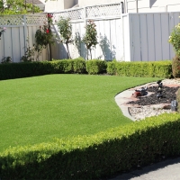 Synthetic Lawn Tuttle, California Landscaping Business, Backyard Design