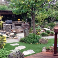 Synthetic Turf Livingston, California Lawns, Backyard Landscaping Ideas