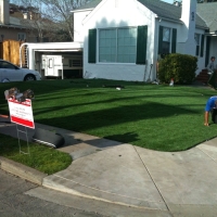 Synthetic Turf Merced, California Garden Ideas, Front Yard Design