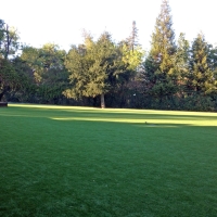 Synthetic Turf Supplier Merced, California Backyard Playground, Parks