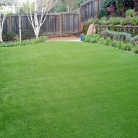 Synthetic Turf Supplier Volta, California Roof Top, Backyard Makeover