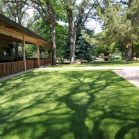 Turf Grass Livingston, California Roof Top, Backyards