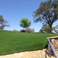 Turf Grass Tuttle, California Landscape Photos, Front Yard Ideas