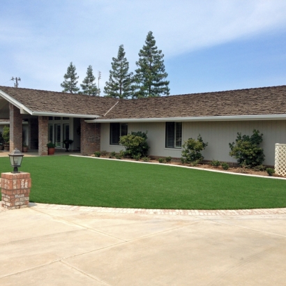 Artificial Grass Carpet Bear Creek, California Landscape Ideas, Front Yard Landscaping