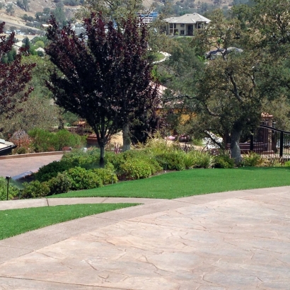 Artificial Grass Carpet Dos Palos, California Rooftop, Small Front Yard Landscaping