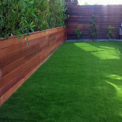 Artificial Grass Carpet Stevinson, California Garden Ideas, Backyard Design