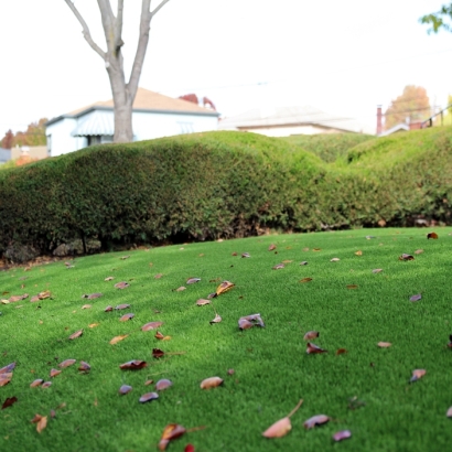 Artificial Grass Installation Dos Palos, California Lawn And Landscape, Front Yard Landscaping