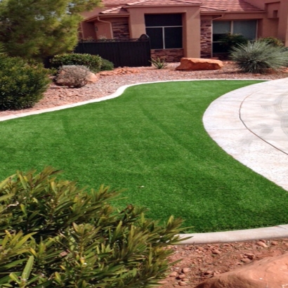 Artificial Grass Planada, California Landscaping, Front Yard Landscape Ideas