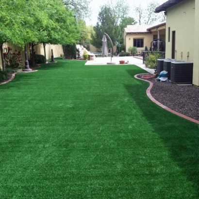 Artificial Grass Tuttle, California Garden Ideas, Backyard Makeover