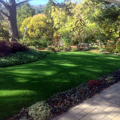 Artificial Grass Tuttle, California Landscape Ideas, Backyard Makeover