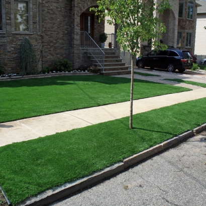 Artificial Lawn Delhi, California Landscape Design, Front Yard Landscaping