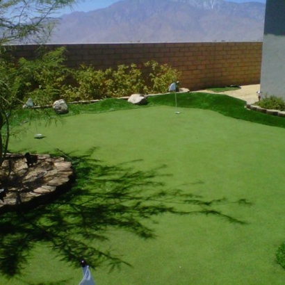 Artificial Lawn Stevinson, California How To Build A Putting Green, Backyard Landscape Ideas