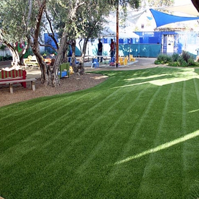 Artificial Turf Atwater, California Landscape Photos, Commercial Landscape