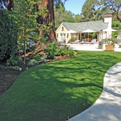 Artificial Turf Cost Dos Palos Y, California Backyard Playground, Commercial Landscape