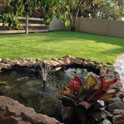 Artificial Turf Cost Los Banos, California Landscape Design, Backyards