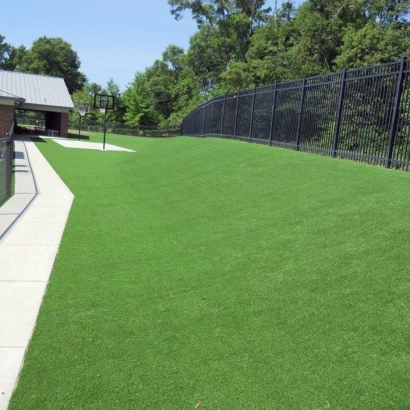 Artificial Turf Cost Snelling, California Landscaping Business, Commercial Landscape