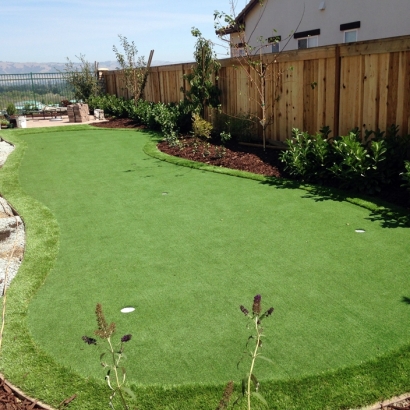 Artificial Turf Cost Winton, California Rooftop, Backyard