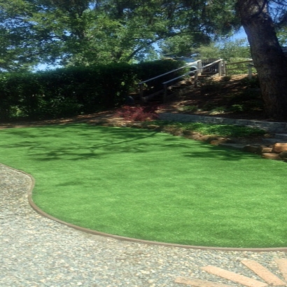 Artificial Turf Delhi, California Backyard Playground, Backyard Ideas