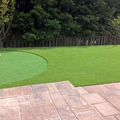 Artificial Turf Hilmar-Irwin, California Putting Greens, Backyard Landscaping Ideas