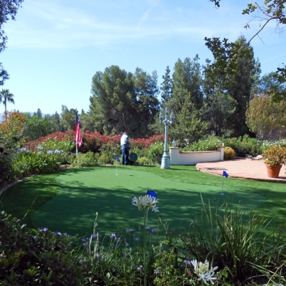 Artificial Turf Installation Stevinson, California Backyard Playground, Backyard Landscape Ideas