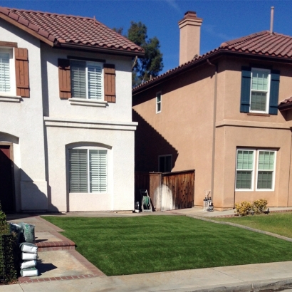 Artificial Turf Livingston, California Lawns, Front Yard Landscaping