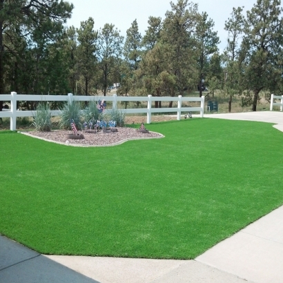 Best Artificial Grass Bear Creek, California Gardeners, Front Yard Landscape Ideas