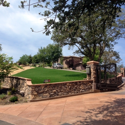 Best Artificial Grass Los Banos, California Design Ideas, Front Yard Landscaping Ideas