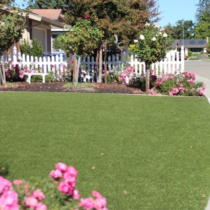 Best Artificial Grass Planada, California Backyard Deck Ideas, Front Yard