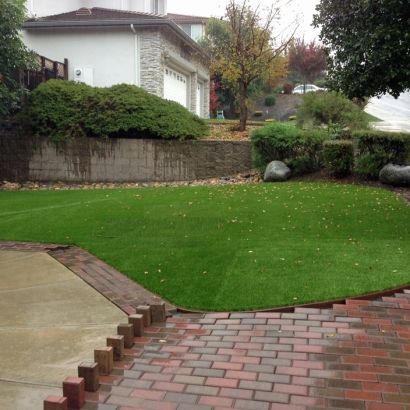 Best Artificial Grass South Dos Palos, California Gardeners, Backyard Landscaping Ideas