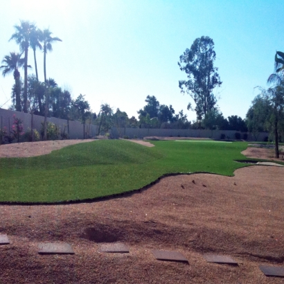 Fake Grass Bear Creek, California Putting Green Turf, Small Backyard Ideas