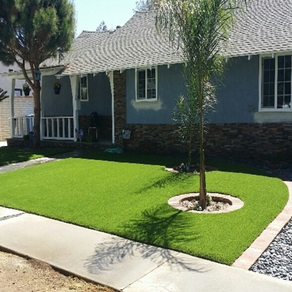 Fake Grass Bear Creek, California Gardeners, Front Yard Ideas