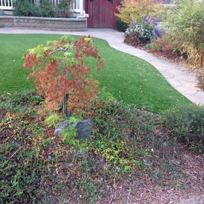 Fake Grass Carpet Los Banos, California Rooftop, Front Yard Landscape Ideas