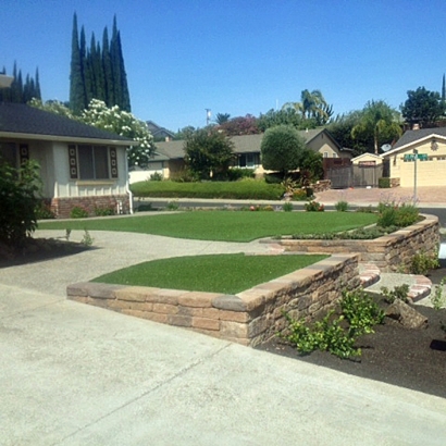 Fake Grass Carpet Merced, California Garden Ideas, Front Yard