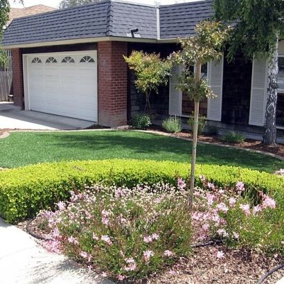 Fake Grass Delhi, California Home And Garden, Front Yard Landscape Ideas