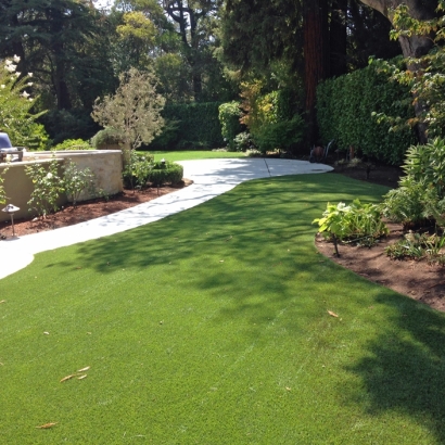 Fake Grass Delhi, California Landscape Design, Backyards