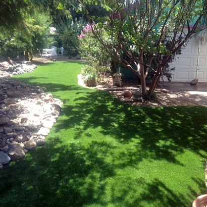 Fake Grass Delhi, California Lawn And Landscape, Backyard Landscape Ideas