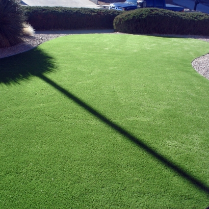 Fake Grass Dos Palos Y, California Landscape Design, Front Yard Landscaping Ideas