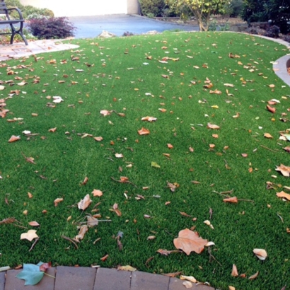 Fake Lawn Ballico, California Landscaping, Front Yard Landscaping Ideas