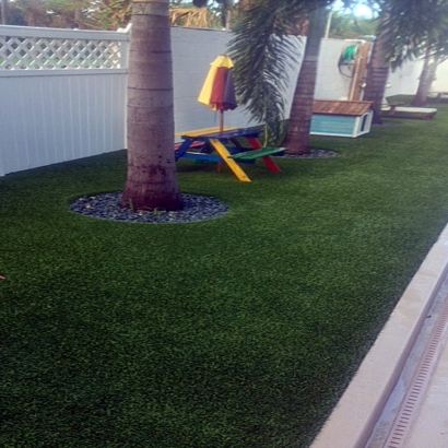 Fake Lawn Volta, California Design Ideas, Backyard Designs