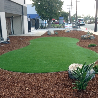 Fake Turf Ballico, California Home And Garden, Commercial Landscape