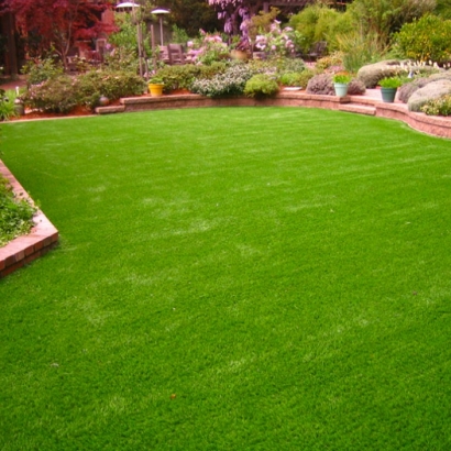 Fake Turf Cressey, California Gardeners, Backyard Landscaping Ideas