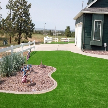 Fake Turf Cressey, California Landscape Photos, Landscaping Ideas For Front Yard