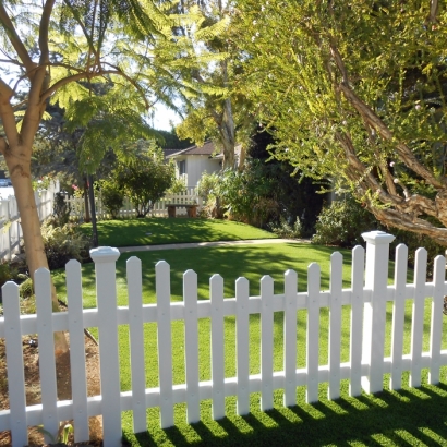 Grass Carpet Delhi, California Gardeners, Front Yard Landscape Ideas