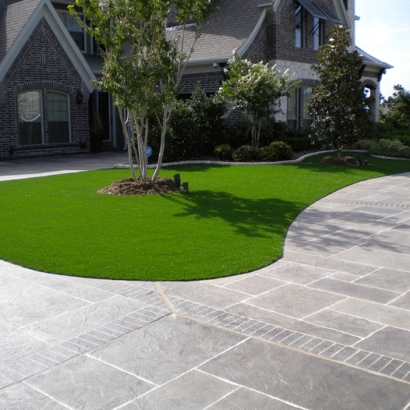 Grass Carpet Gustine, California Home And Garden, Front Yard Design