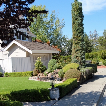 Grass Carpet Merced, California Landscaping Business, Front Yard