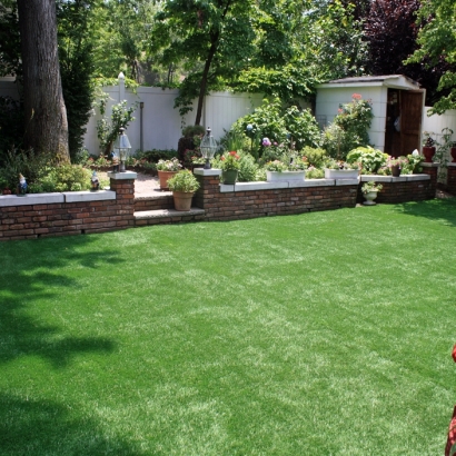 Grass Carpet Planada, California Design Ideas, Backyard